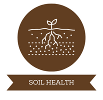 Soil health