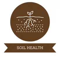 Soil health