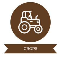 Crops