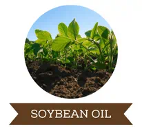 Soyabean oil