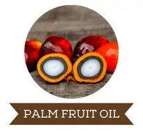Plam fruit oil